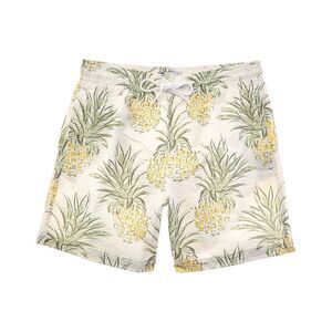 Trunks Surf & Swim Co. Mens  Sano Swim Short